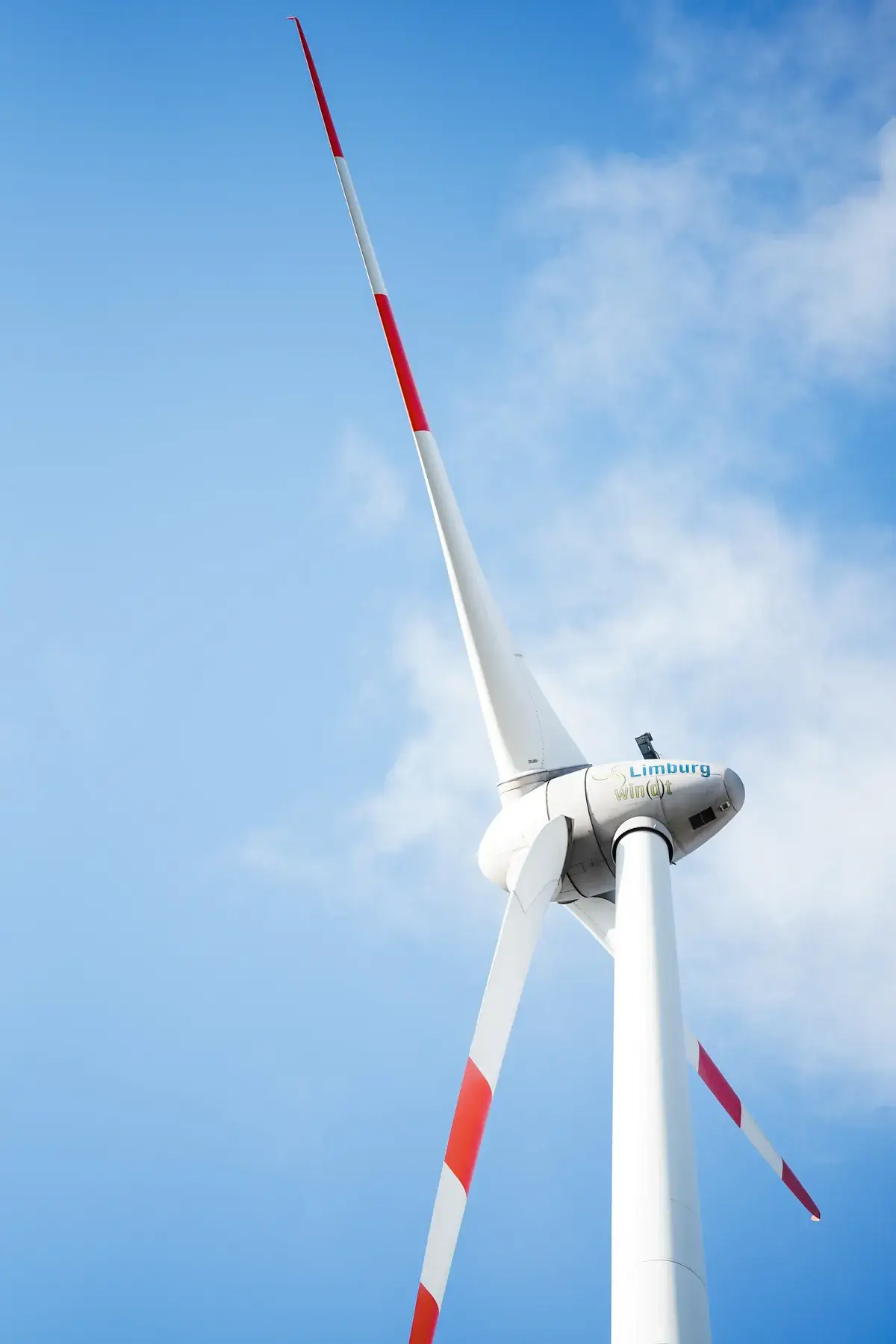 Windrad – erneuerbare Energie in der Kühllogistik